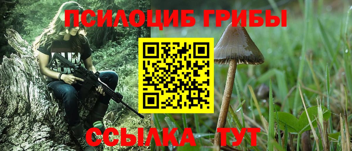Галлюциногенные грибы ЛСД Михайловск
