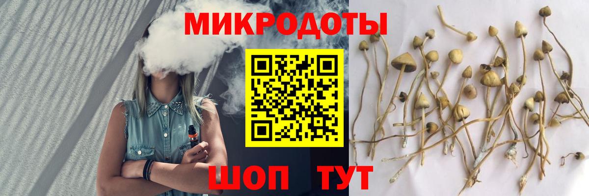 где можно купить наркотик  Галлюциногенные грибы MAGIC MUSHROOMS  Вход с VPN  Галлюциногенные грибы MAGIC MUSHROOMS  Михайловск 